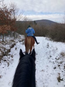 Csikó Kislovas Egyesület (8)
